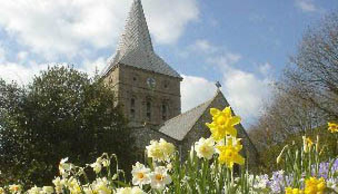 all_saints_with_daffodils-letterbox