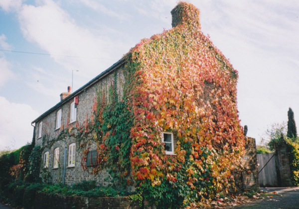 Bottle Cottage as it is today