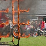 Eagle jumping through fire