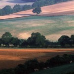 Fields