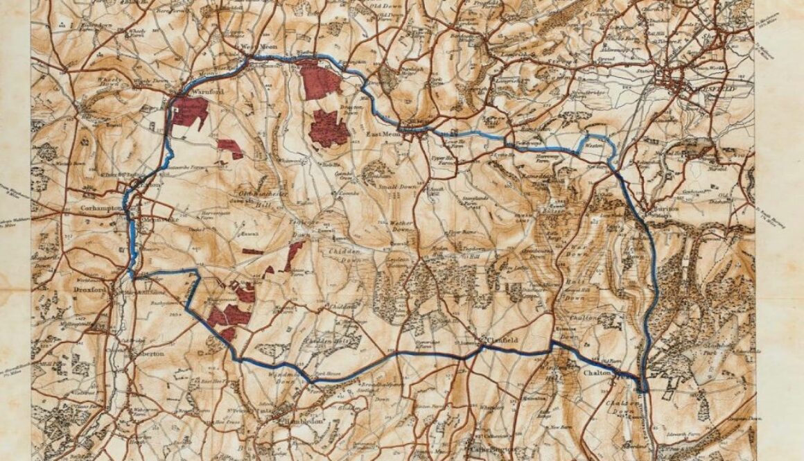 Map 44. Autumn Manoeuvres 1891_Stitched copy (1)