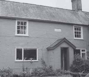 Pest house building