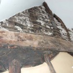 Truss Beam at the Tudor House